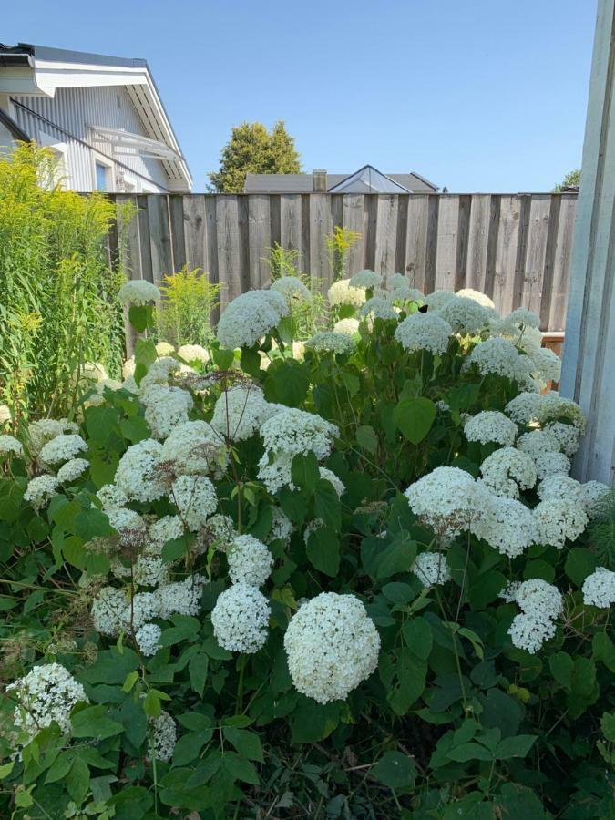 Private House Parking Garden Sea Nature มัลเมอ ภายนอก รูปภาพ